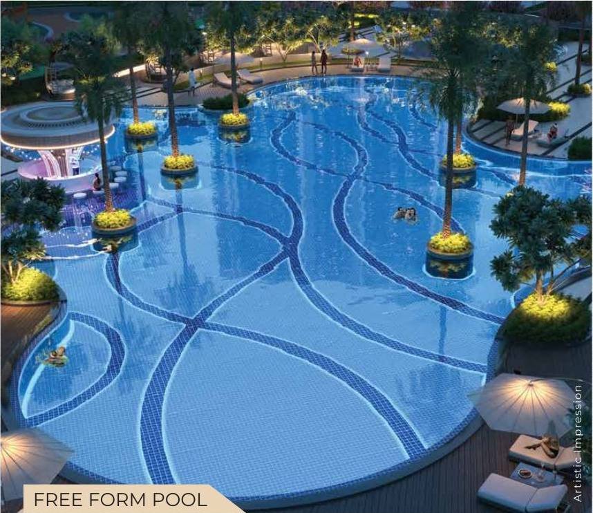 Free Form Pool